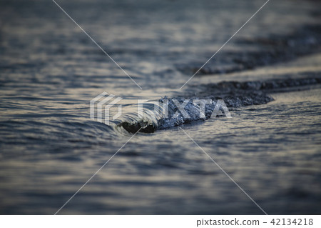 Nice close up sea blue waves creative blur Nice close up sea blue waves creative blur 42134218