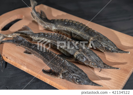 three of fresh raw sturgeon fish on wooden  42134522