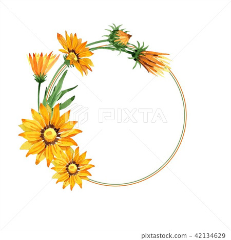 Yellow gazania flower. Floral botanical flower.Frame border ornament square. 42134629
