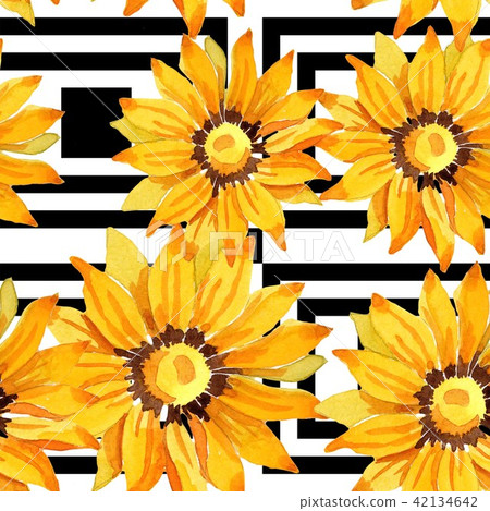 Yellow gazania flower. Floral botanical flower.Seamless background pattern. Yellow gazania flower. Floral botanical flower.Seamless background pattern. 42134642