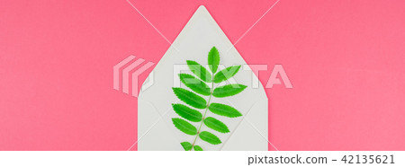 White letter mock up with fresh green leaves 42135621