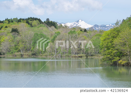 Aoyama dam Aoyama dam 42136924
