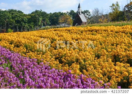 Autumn view of pastoral village, hiragami plateau Autumn view of pastoral village, hiragami plateau 42137207