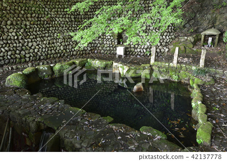 Shimizu in Nonaka (Tanabe City, Wakayama Prefecture) 42137778