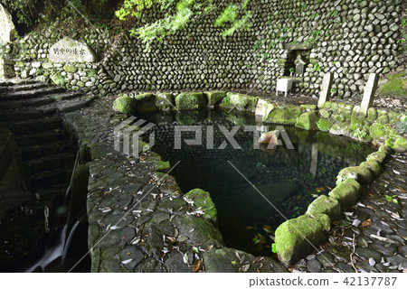 Shimizu in Nonaka (Tanabe City, Wakayama Prefecture) Shimizu in Nonaka (Tanabe City, Wakayama Prefecture) 42137787