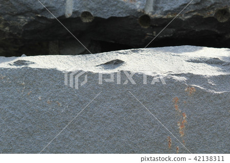 Rough rough skin Rough rough skin 42138311