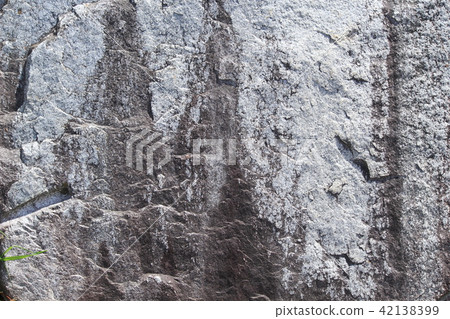 Rough rough skin Rough rough skin 42138399