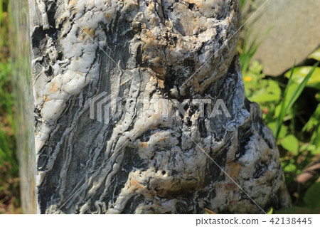 Rough rough skin Rough rough skin 42138445