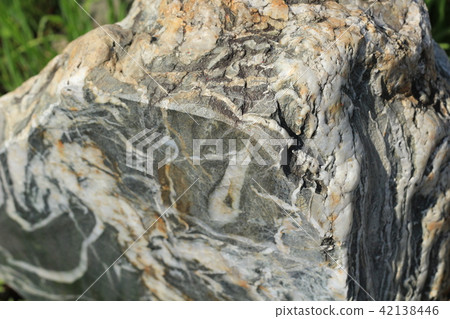 Rough rough skin Rough rough skin 42138446