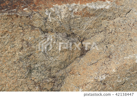 Rough rough skin Rough rough skin 42138447