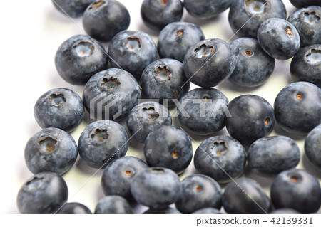 blueberry blueberry 42139331
