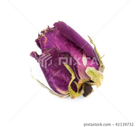 Withered roses on white background 42139732