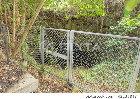 Tomie lava tunnel · well Tomie lava tunnel · well 42139888