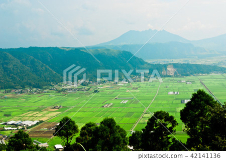 我看到寬敞的稻田和Nodokadake以及Aso火山口的外山。 42141136