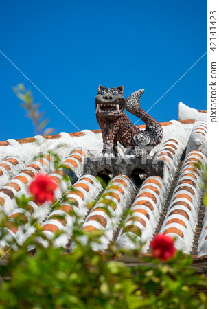 2017 _ Ishigakijima _ 60 2017 _ Ishigakijima _ 60 42141423