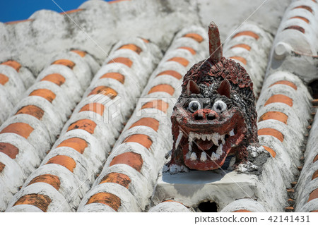 2017 _ Ishigakijima _ 68 2017 _ Ishigakijima _ 68 42141431