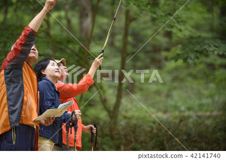 Senior Travel Senior Travel 42141740
