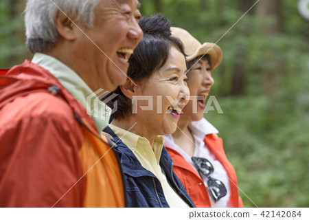 Senior Travel Senior Travel 42142084