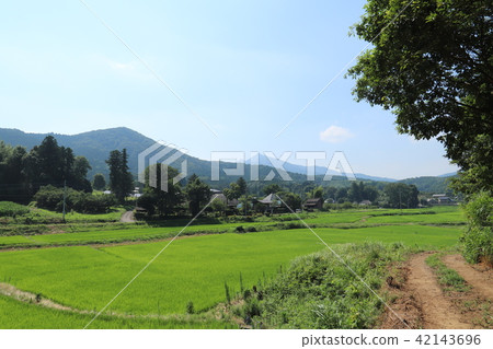 Nihonbara Landscape Ishioka Nihonbara Landscape Ishioka 42143696