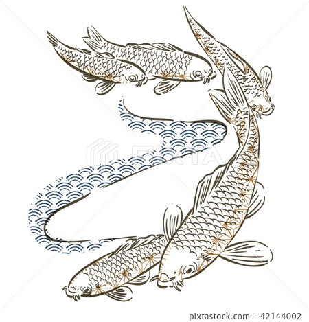 Carp fish hand drawn vector. Japanese pattern Carp fish hand drawn vector. Japanese pattern 42144002