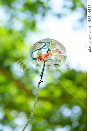 Summer / summer resort / cool feeling of the forest 17 42144455