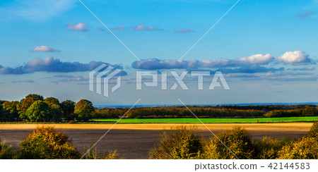English green meadow on a sunny day 42144583