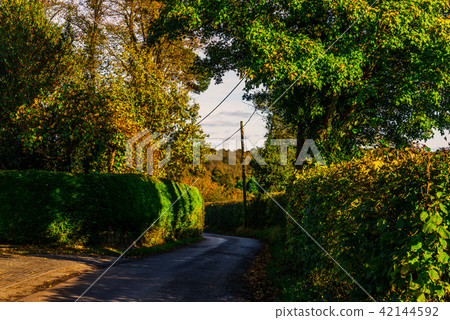 English country road on a sunny day 42144592
