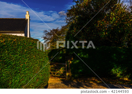 English country road on a sunny day 42144593