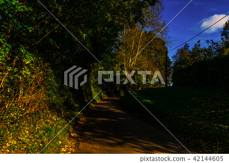 English country road on a sunny day English country road on a sunny day 42144605