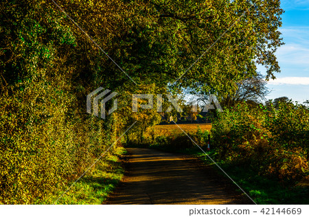 English country road on a sunny day 42144669