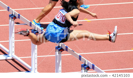 Hurdles Hurdles 42145103