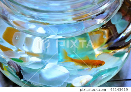 Fish bowl Fish bowl 42145619