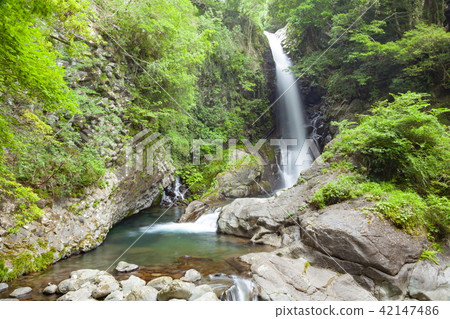 Kawazu Nanakidake的Kamaki在Shizuoka Prefecture Kamo-gun,Kawazu-machi Kawazu Nanakidake的Kamaki在Shizuoka Prefecture Kamo-gun,Kawazu-machi 42147486