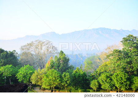 Morning fog in Indonesia Morning fog in Indonesia 42148000
