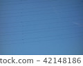 Blue sky and electric wire 42148186