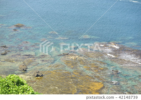 [京都府伊內町]探戈海 42148739