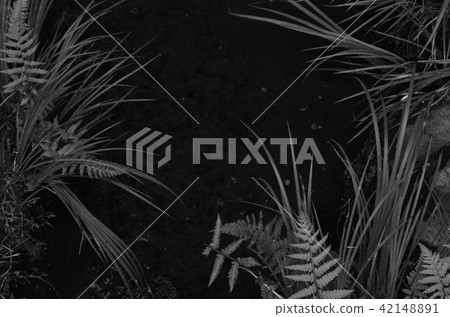 Scenery of Japan Garden view Scenery of Japan Garden view 42148891