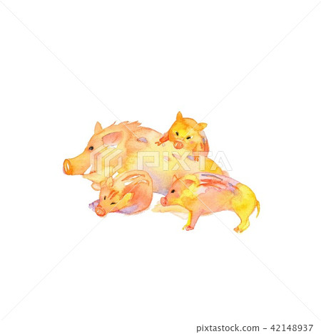 Boar, Three heads of Uribo - Stock Illustration [42148937] - PIXTA