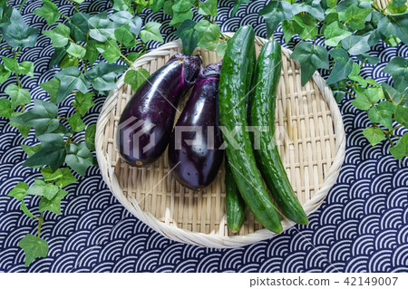 Freshly harvested vegetables Freshly harvested vegetables 42149007