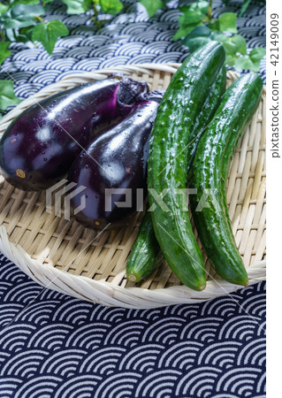 Freshly harvested vegetables Freshly harvested vegetables 42149009