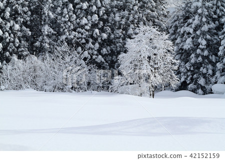 Satoyama's Winter New Year's Satoyama Satoyama's Winter New Year's Satoyama 42152159