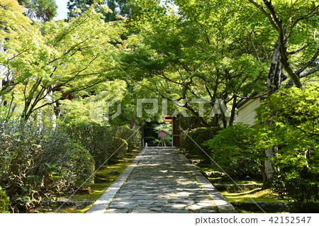 Kinen-en-Aoyama Temple 42152547