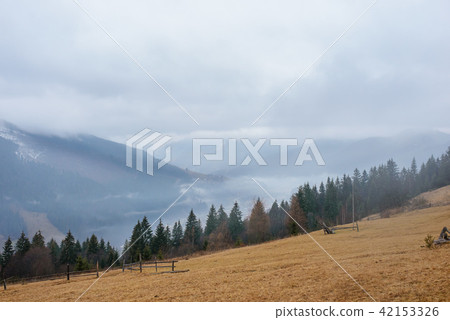 Beautiful view with morning fog in early spring Beautiful view with morning fog in early spring 42153326