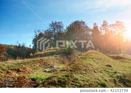 Landscape with autumn forest upon green Landscape with autumn forest upon green 42153739