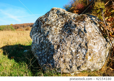 Close-up background of the big gray stone  42154180