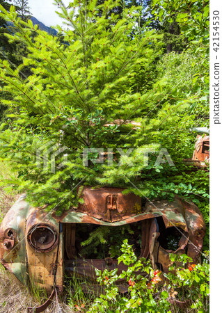 Scrap car at Birkenhead Lake near Pemberton Canada Scrap car at Birkenhead Lake near Pemberton Canada 42154530