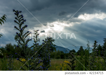 dramatic dark clouds landscape 42154715