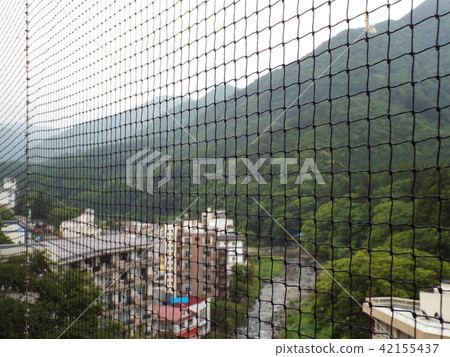 In places where there are many wild birds we will put a bird protection net In places where there are many wild birds we will put a bird protection net 42155437