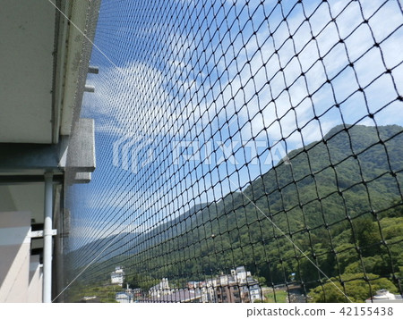 In places where there are many wild birds we will put a bird protection net In places where there are many wild birds we will put a bird protection net 42155438