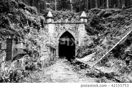 Upper entrance to tunnel of historical Schwarzenberg shipping canal, Sumava Mountains, Czech 42155753